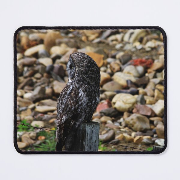 Item preview, Great Grey Owl designed and sold by Alyce Taylor.
