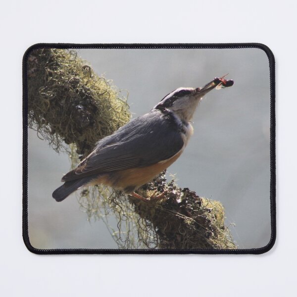 Item preview, Red Breasted Nuthatch designed and sold by Alyce Taylor.
