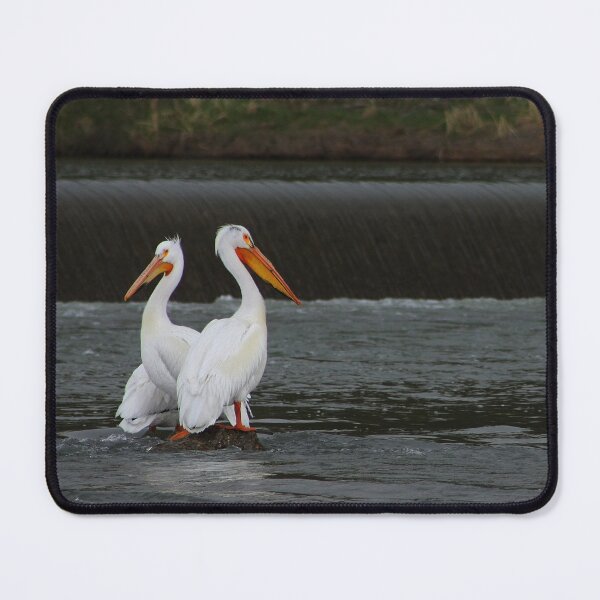 Item preview, Well Perched designed and sold by Alyce Taylor.