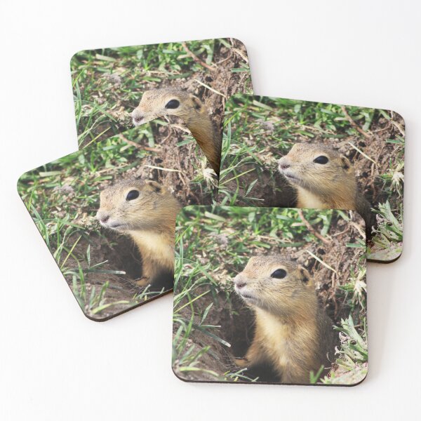 Item preview, Prairie Dog designed and sold by Alyce Taylor.