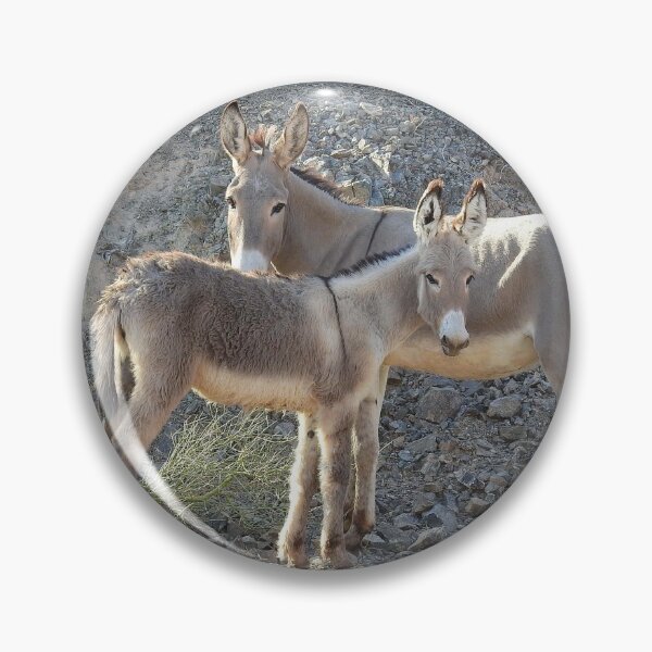 Item preview, Wild Burros, Wildlife, Wild Animals, Gifts designed and sold by Sandra O'Toole.