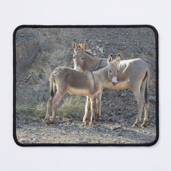 Item preview, Wild Burros, Wildlife, Wild Animals, Gifts designed and sold by Sandra O'Toole.