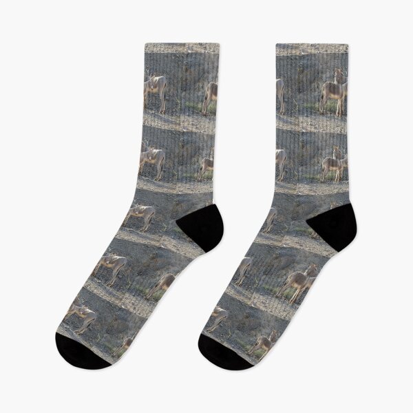 Item preview, Wild Burros, Wildlife, Wild Animals, Gifts designed and sold by Sandra O'Toole.