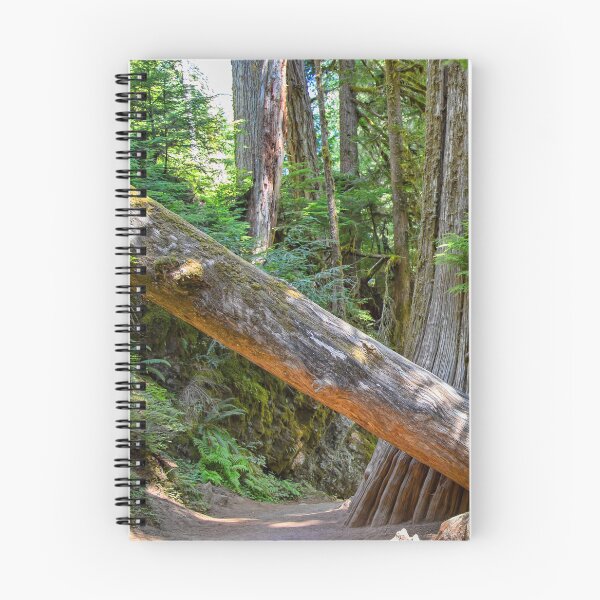 Item preview, USA. Mount Rainier National Park. Hiking through the Woods.  designed and sold by vadim19.