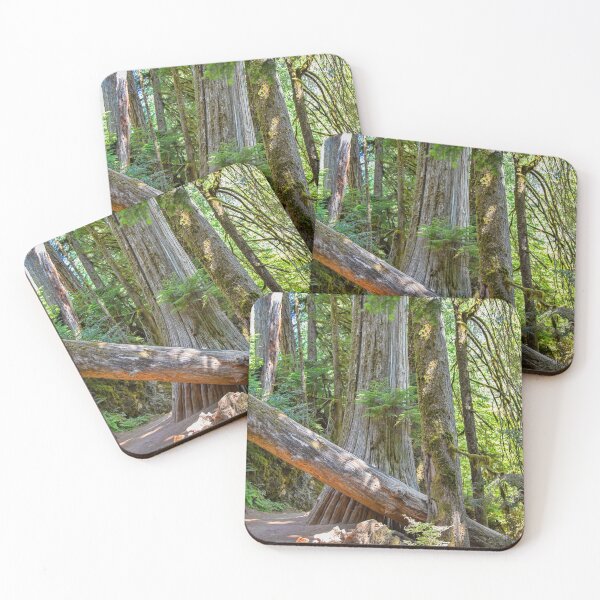 Item preview, USA. Mount Rainier National Park. Hiking through the Woods.  designed and sold by vadim19.