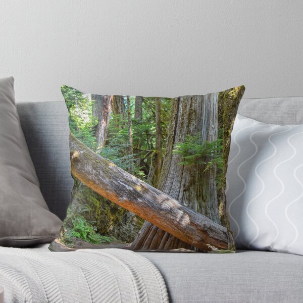 Item preview, USA. Mount Rainier National Park. Hiking through the Woods.  designed and sold by vadim19.