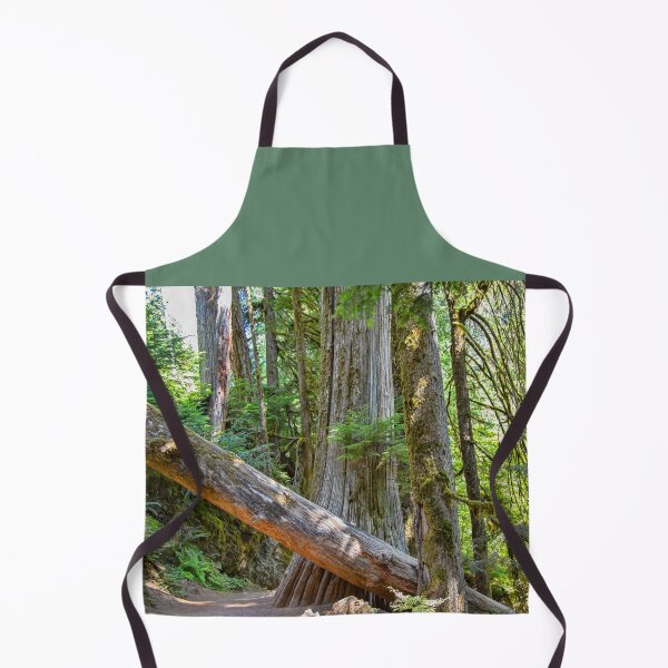 Item preview, USA. Mount Rainier National Park. Hiking through the Woods. designed and sold by vadim19.