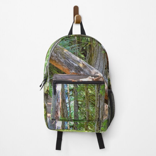 Item preview, USA. Mount Rainier National Park. Hiking through the Woods.  designed and sold by vadim19.