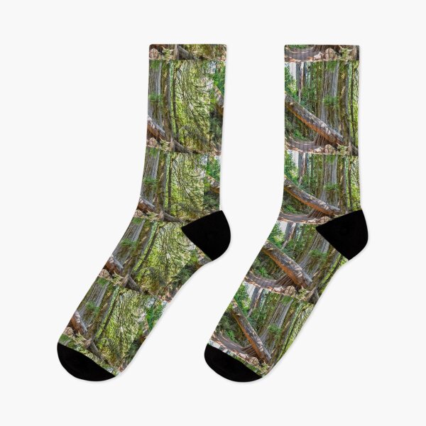 Item preview, USA. Mount Rainier National Park. Hiking through the Woods.  designed and sold by vadim19.