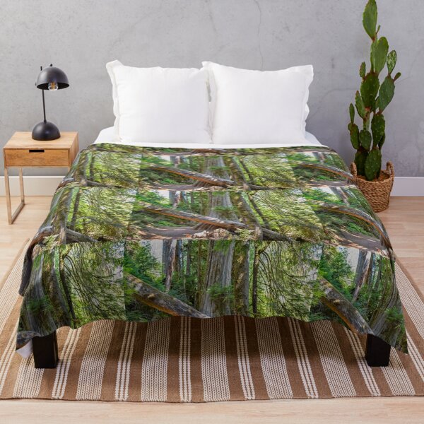 Item preview, USA. Mount Rainier National Park. Hiking through the Woods.  designed and sold by vadim19.