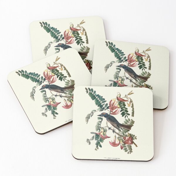 Item preview, Gray Kingbird - Audubon designed and sold by sanerevolution.