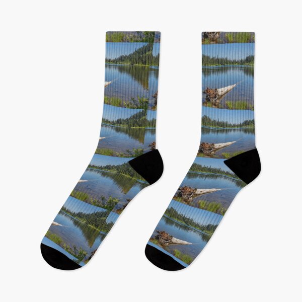 Item preview, USA. Mount Rainier National Park. Tree Trunk in the Lake.  designed and sold by vadim19.