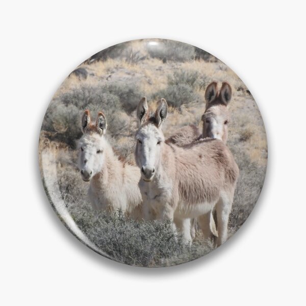 Item preview, Wild Burros, Wildlife, Wild Animals, Gifts designed and sold by Sandra O'Toole.
