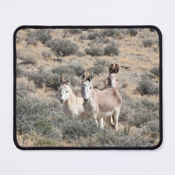 Item preview, Wild Burros, Wildlife, Wild Animals, Gifts designed and sold by Sandra O'Toole.
