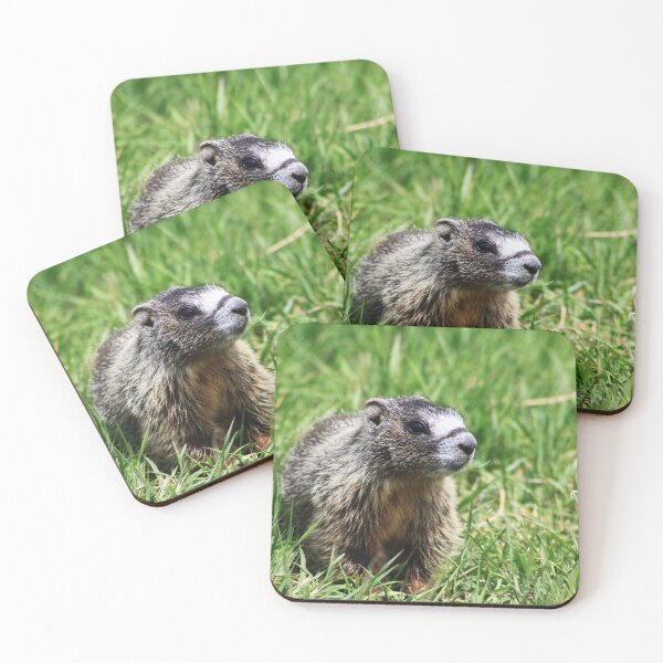 Item preview, Yellow Bellied Marmot designed and sold by Alyce Taylor.