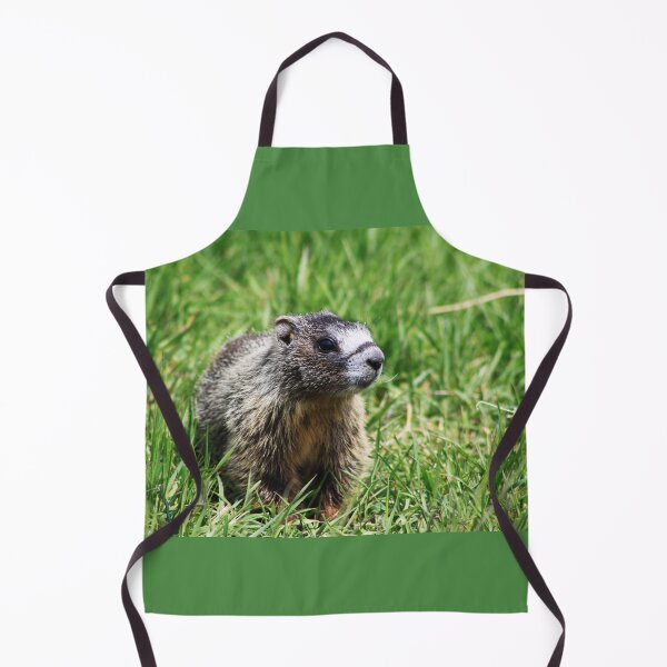 Item preview, Yellow Bellied Marmot designed and sold by Alyce Taylor.