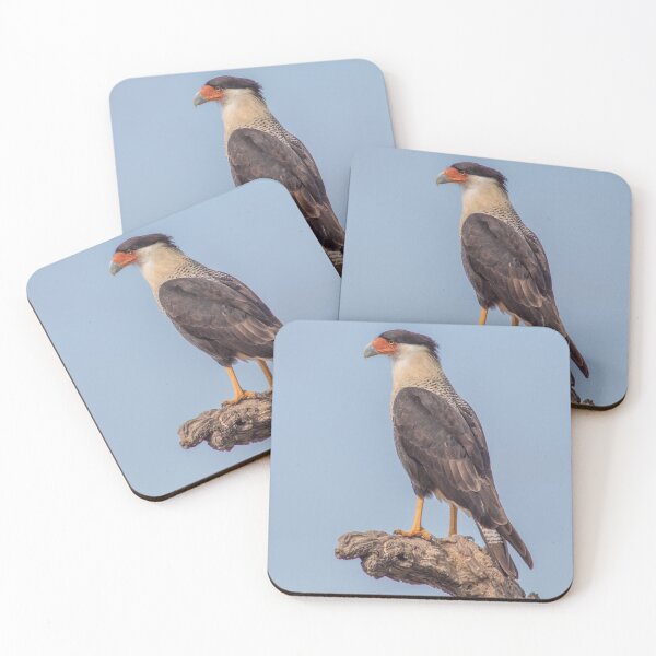 Item preview, Carancho on branch - Caracara plancus - traro - moñudo caracara designed and sold by Marcia Motivos.