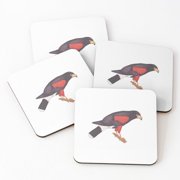 Item preview, Harris's Hawk watercolor animal bird art designed and sold by TheWaterBirds.