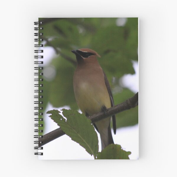 Item preview, Cedar Waxwing designed and sold by Alyce Taylor.