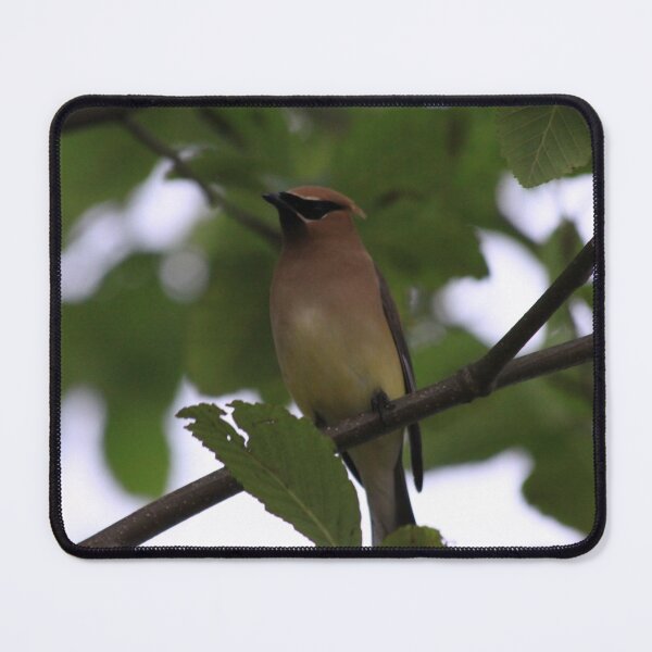 Item preview, Cedar Waxwing designed and sold by Alyce Taylor.