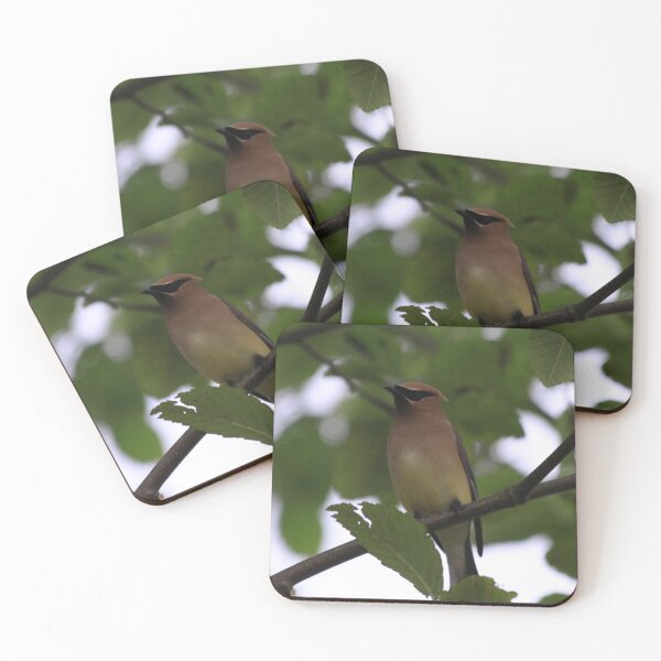 Item preview, Cedar Waxwing designed and sold by Alyce Taylor.