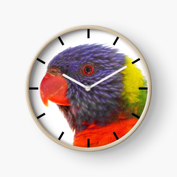 Lorikeet Clock Clock