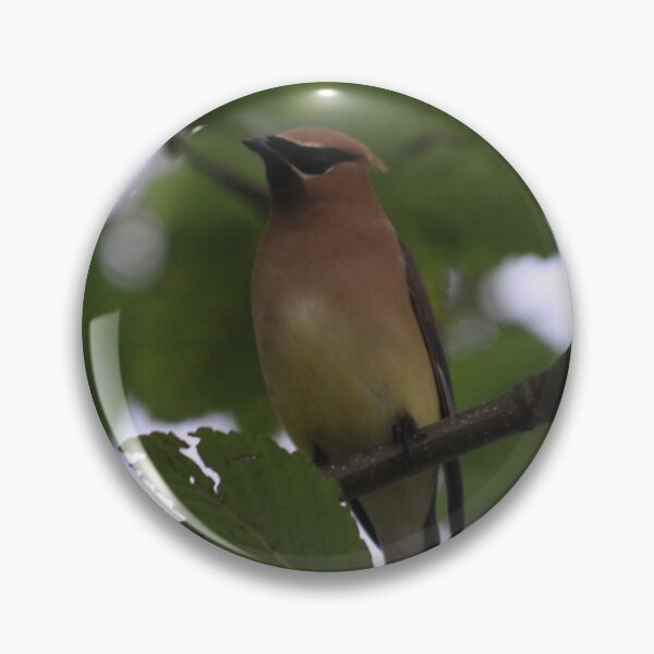Item preview, Cedar Waxwing designed and sold by Alyce Taylor.