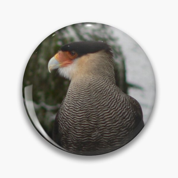 Item preview, Carancho on trunk - Caracara plancus - traro - moñudo caracara designed and sold by Marcia Motivos.