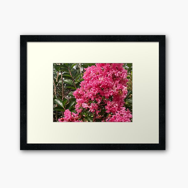 Item preview, Pink Crepe Myrtle designed and sold by Shelly  Moore.
