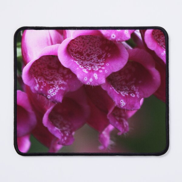 Item preview, Foxglove designed and sold by Alyce Taylor.