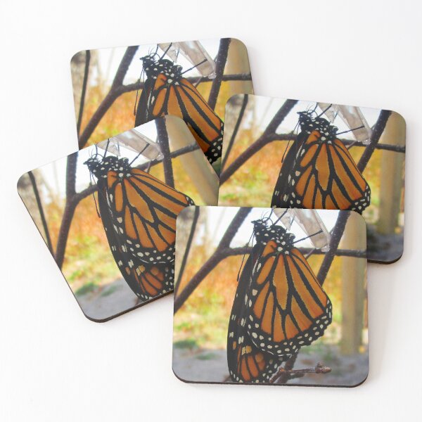 Item preview, 101321 Monarch Awakens designed and sold by Campbell Gallery.