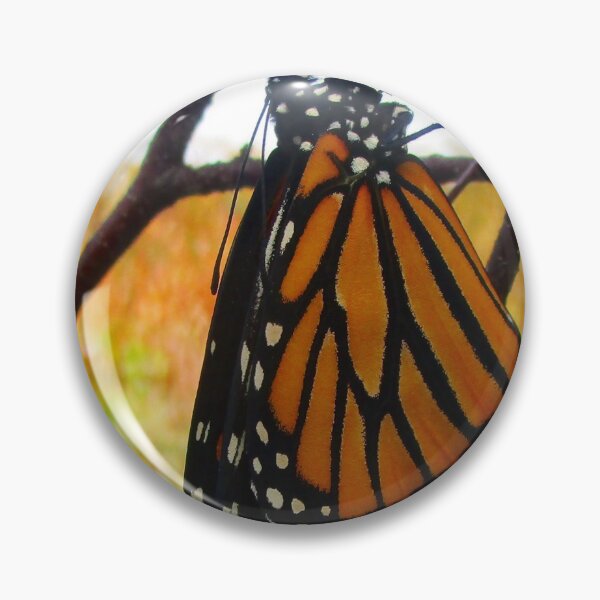 Item preview, 101321 Monarch Awakens designed and sold by Campbell Gallery.