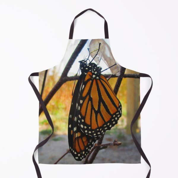 Item preview, 101321 Monarch Awakens designed and sold by Campbell Gallery.