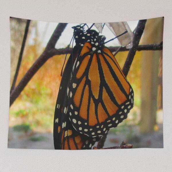Item preview, 101321 Monarch Awakens designed and sold by Campbell Gallery.