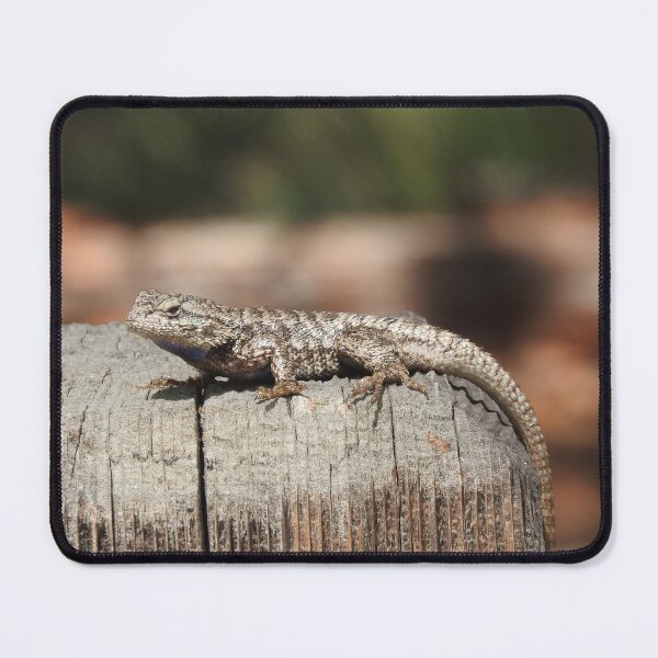 Item preview, Lizard, Western Fence Lizard, Reptiles, Wildlife, Reptilian, Gifts designed and sold by Sandra O'Toole.