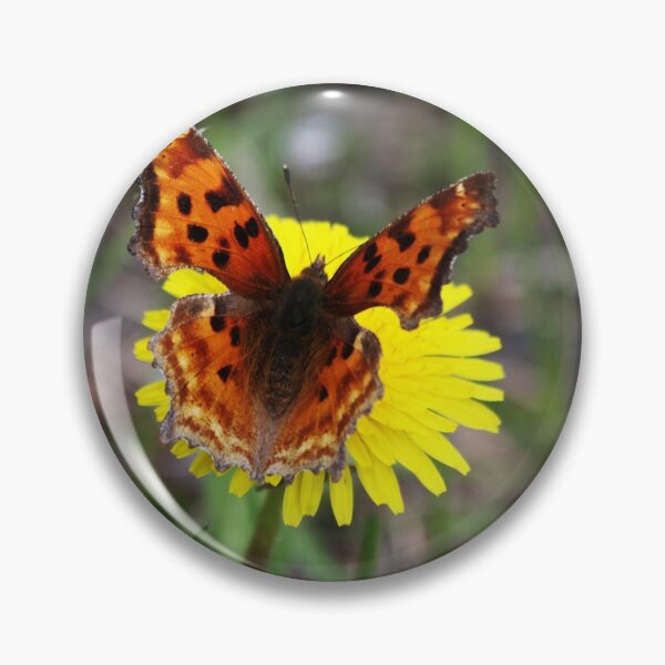 Item preview, Satyr Comma Butterfly designed and sold by Alyce Taylor.