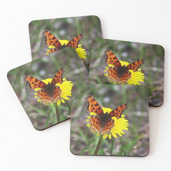 Item preview, Satyr Comma Butterfly designed and sold by Alyce Taylor.