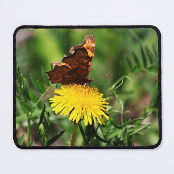 Item preview, Polygonia Satyrus designed and sold by Alyce Taylor.