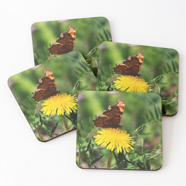 Item preview, Polygonia Satyrus designed and sold by Alyce Taylor.