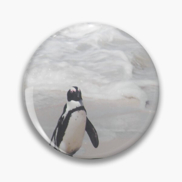Item preview, African Penguin Photography  designed and sold by LisWilliams.