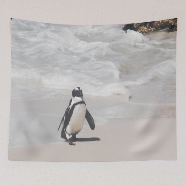 Item preview, African Penguin Photography  designed and sold by LisWilliams.