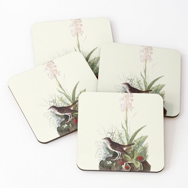 Item preview, Veery - Audubon designed and sold by sanerevolution.