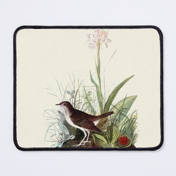Item preview, Veery - Audubon designed and sold by sanerevolution.