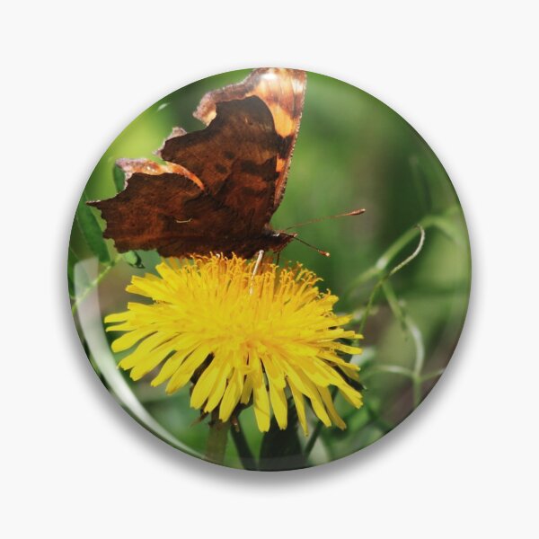 Item preview, Polygonia Satyrus designed and sold by Alyce Taylor.