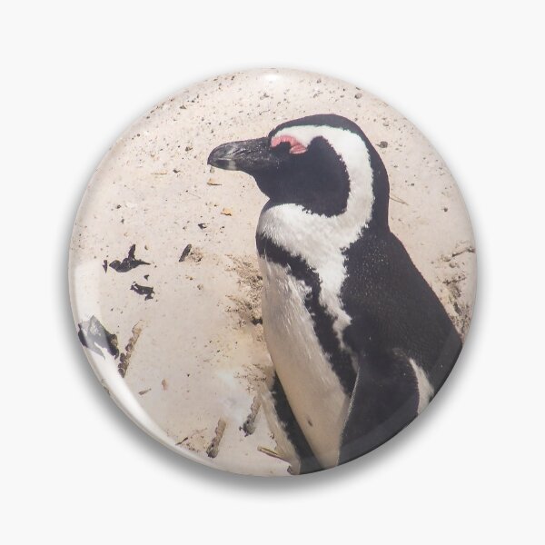 Item preview, African Penguins Sitting in a Hole designed and sold by LisWilliams.