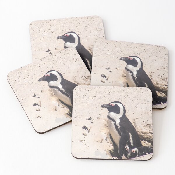 Item preview, African Penguins Sitting in a Hole designed and sold by LisWilliams.
