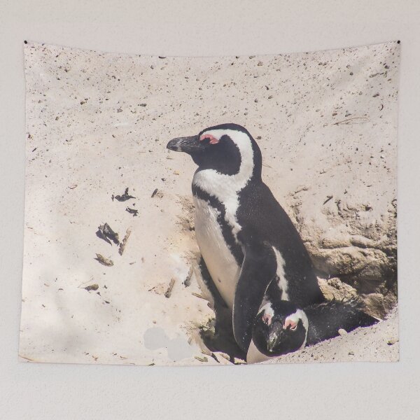 Item preview, African Penguins Sitting in a Hole designed and sold by LisWilliams.