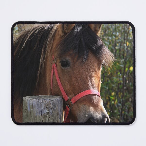 Item preview, Hitched designed and sold by Alyce Taylor.