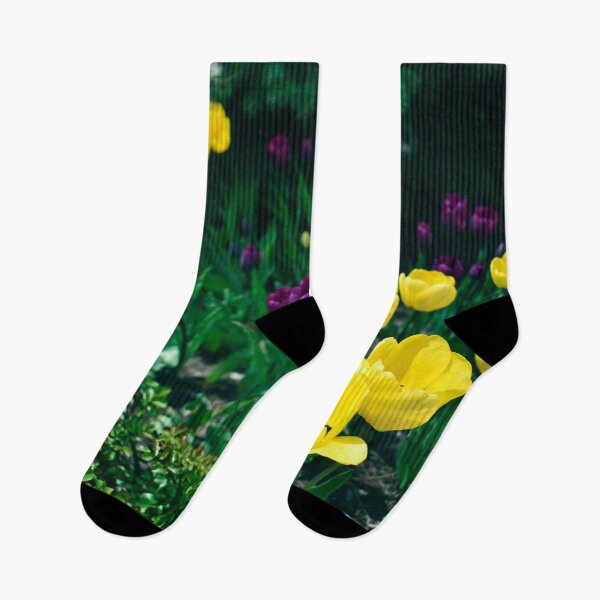 Item preview, Field of yellow and violet tulips in bloom designed and sold by Marcia Motivos.