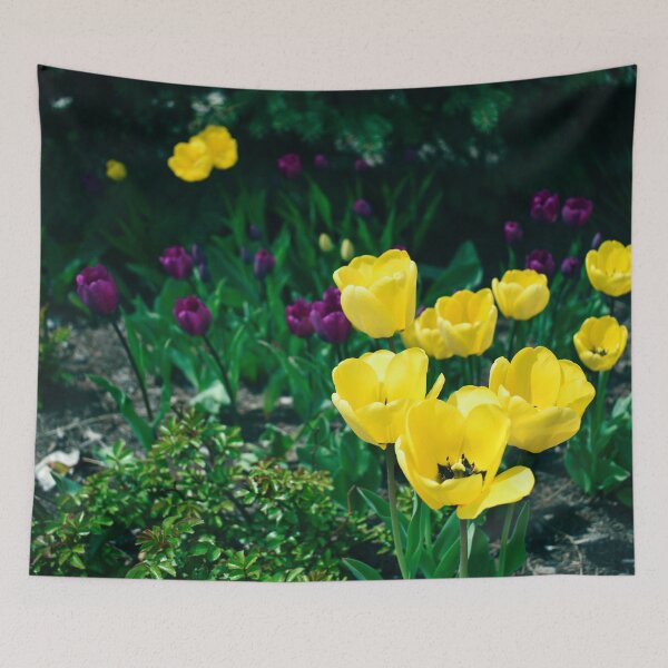 Item preview, Field of yellow and violet tulips in bloom designed and sold by Marcia Motivos.